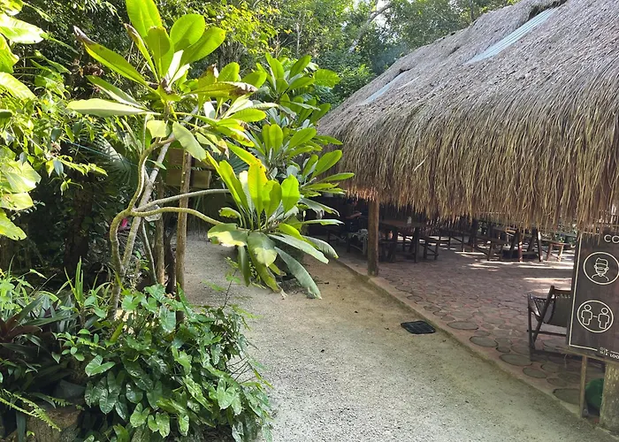 Glamping Mama Loo Mm 3* Puerto Morelos
