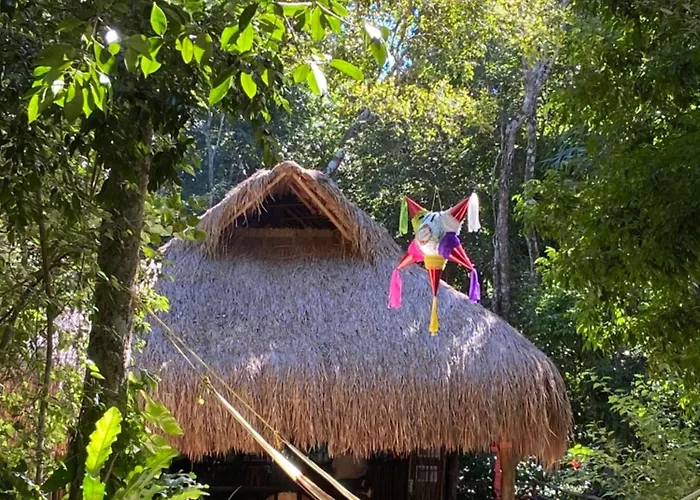 Camping Glamping Mama Loo Mm