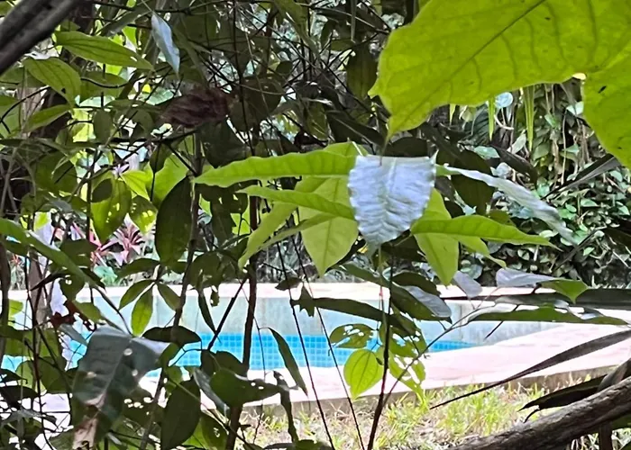 Glamping Mama Loo Mm Puerto Morelos