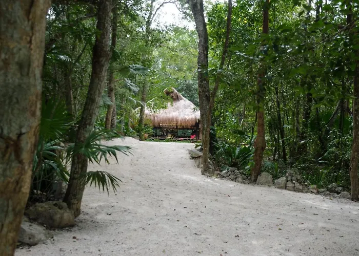 Camping Glamping Mama Loo Mm 3*