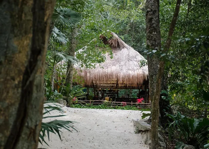 Glamping Mama Loo Mm Camping