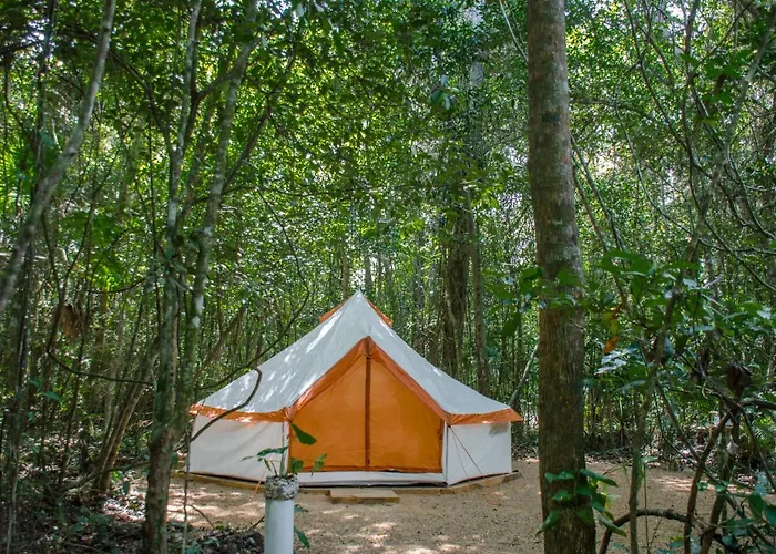 Camping Glamping Mama Loo Mm 3*