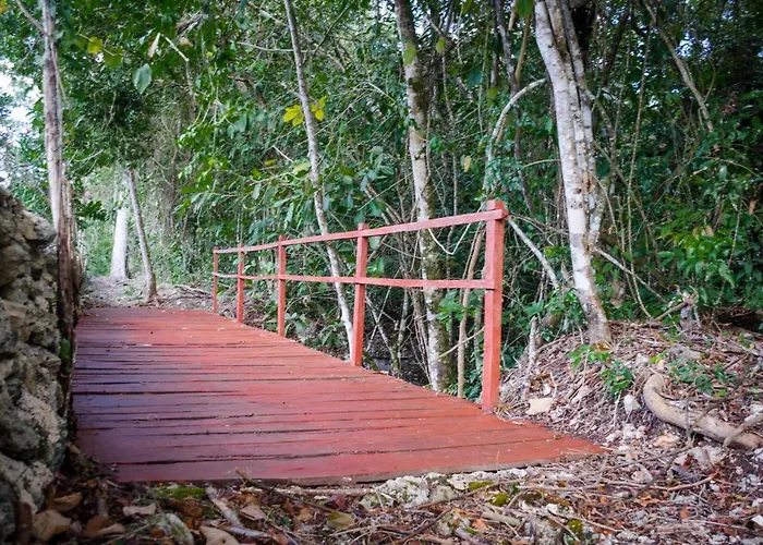 Camping Glamping Mama Loo Mm Puerto Morelos